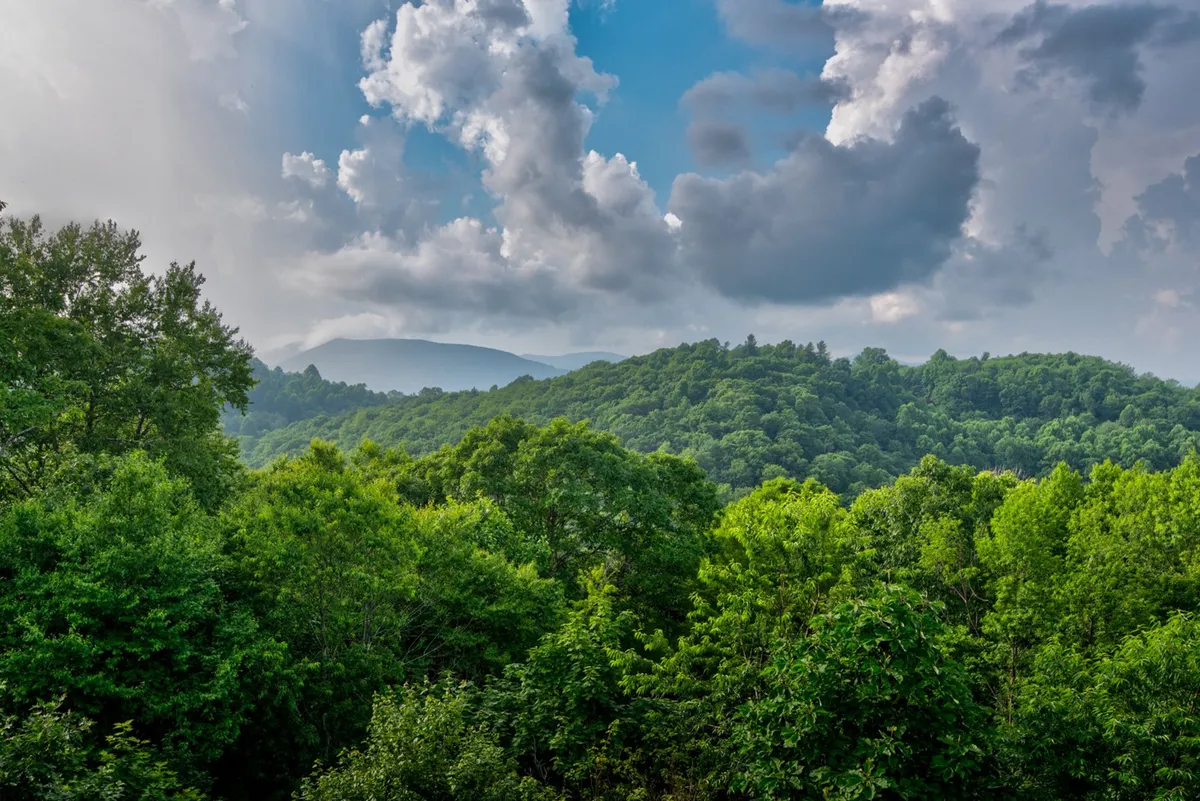 A breathtaking panoramic view of lush green trees, rolling distant mountains, and a sky filled with clouds. This pure landscape shot provides a direct connection to the surrounding Blue Ridge beauty and hints at the hiking and wildlife adventures awaiting nearby.