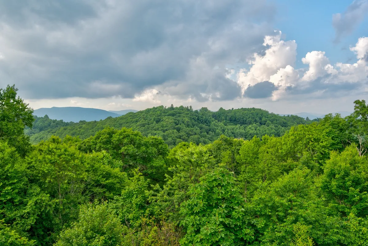 This image provides a tranquil view of lush green trees, distant hills, and a cloudy sky, evoking a sense of peaceful mountain exploration and the promise of scenic hikes nearby. The perspective is immersive, giving a sense of being surrounded by nature.